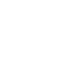 hana cosmetiques