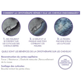Machine Cryotherapie Elyssa cosmétiques à branche unique